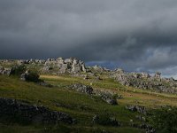 F, Lozere, Fraissinet-de-Fourques, Nimes-le-Vieux 1, Saxifraga-Dirk Hilbers