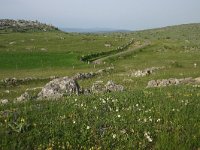 F, Lozere, Fraissinet-de-Fourques, Nimes-le-Vieux 2, Saxifraga-Dirk Hilbers