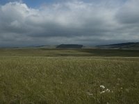 F, Lozere, Hures-la-Parade 10, Saxifraga-Jan van der Straaten