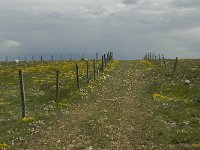 F, Lozere, Hures-la-Parade 40, Saxifraga-Jan van der Straaten