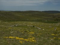 F, Lozere, Hures-la-Parade 5, Saxifraga-Marijke Verhagen