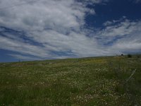 F, Lozere, Hures-la-Parade 60, Saxifraga-Dirk Hilbers