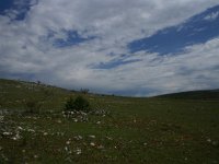 F, Lozere, Hures-la-Parade 65, Saxifraga-Dirk Hilbers