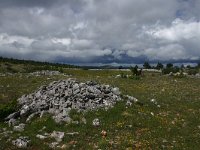 F, Lozere, Hures-la-Parade, Le-Buffre 4, Saxifraga-Dirk Hilbers