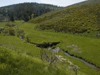 F, Lozere, Le Pont-de-Monvert, Felgerolles 4, Saxifraga-Marijke Verhagen