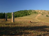 F, Lozere, Les Bondons 10, Saxifraga-Dirk Hilbers