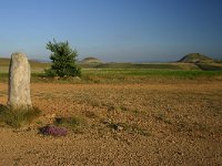 F, Lozere, Les Bondons 18, Saxifraga-Dirk Hilbers