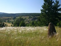 F, Lozere, Les Bondons 8, Saxifraga-Dirk Hilbers