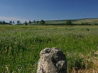 F, Lozere, Les Bondons 9, Saxifraga-Dirk Hilbers