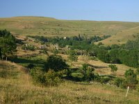 F, Lozere, Les Bondons, Les Combettes 2, Saxifraga-Dirk Hilbers