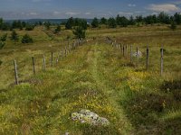 F, Lozere, Pont-de-Montvert-Sud-Mont-Lozère, Pic de Finiels 2, Saxifraga-Dirk Hilbers