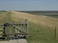 D, Schleswig-Holstein, Nordstrand, Dreisprung 2, Saxifraga-Jan van der Straaten