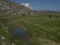 GR, Crete, Lasithi, Lasithi Plain 7, Saxifraga-Willem van Kruijsbergen