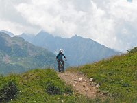 I, Brescia, Ponte di Legno, Passo Tonale 4, Saxifraga-Hans Dekker