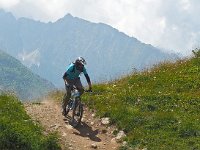 I, Brescia, Ponte di Legno, Passo Tonale 5, Saxifraga-Hans Dekker