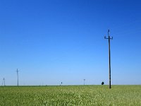 PL, Podlaskie, Jałowo, Biebzra 2, Saxifraga-Hans Dekker