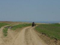 RO, Tulcea, Danube delta 28, Saxifraga-Dirk Hilbers