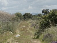 E, Badajoz, Navalvillar de Pela, Moheda Alta 12, Saxifraga-Willem van Kruijsbergen