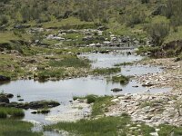 E, Caceres, Hinojal, Arroyo de Talavan 2, Saxifraga-Willem van Kruijsbergen