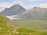 CH, Bern, Adelboden, Engstligenalp 3, Saxifraga-Tom Heijnen