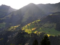 CH, Bern, Frutigen, near Frutigen, Saxifraga-Tom Heijnen