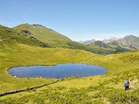 CH, Bern, Gsteig, Blattipass, Saxifraga-Tom Heijnen