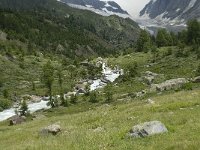 CH, Wallis, Blatten, Loetschental, Langgletscher 3, Saxifraga-Willem van Kruijsbergen