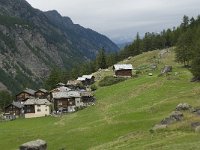 CH, Wallis, Saas Grund, Tewald 4, Saxifraga-Willem van Kruijsbergen