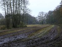 NL, Drenthe, Aa en Hunze, Drentsche Aa 107, Saxifraga-Hans Boll