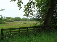 NL, Drenthe, Aa en Hunze, Drentsche Aa 69, Saxifraga-Hans Boll