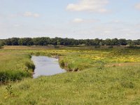 NL, Drenthe, Aa en Hunze, Drentse Aa 1, Saxifraga-Tom Heijnen