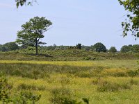 NL, Drenthe, Aa en Hunze, Drentse Aa 2, Saxifraga-Tom Heijnen