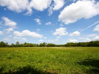 NL, Drenthe, Aa en Hunze, Drentse Aa, Gasteren 1, Saxifraga-Bart Vastenhouw