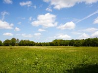 NL, Drenthe, Aa en Hunze, Drentse Aa, Gasteren 2, Saxifraga-Bart Vastenhouw