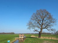 NL, Drenthe, Aa en Hunze, Elperstroom 1, Saxifraga-Hans Dekker