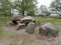 NL, Drenthe, Aa en Hunze, Gasterse Duinen 2, Saxifraga-Tom Heijnen