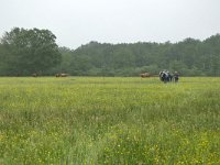 NL, Drenthe, Aa en Hunze, bij Anderen 11, Saxifraga-Tom Heijnen