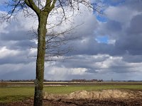 NL, Drenthe, Borger-Odoorn, Hunzedal 1, Saxifraga-Hans Dekker