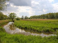 NL, Drenthe, Tynaarlo, Drentse Aa, Oudemolen 2, Saxifraga-Bart Vastenhouw