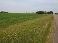 NL, Flevoland, Noordoostpolder, Marknesse 2, Saxifraga-Hans Dekker