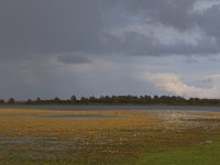 NL, Friesland, Dongeradeel, Ezumakeeg 11, Saxifraga-Hans Boll