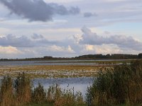 NL, Friesland, Dongeradeel, Ezumakeeg 12, Saxifraga-Hans Boll