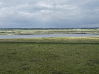 NL, Friesland, Noardeast-Fryslan, Lauwersmeer 27, Saxifraga-Willem van Kruijsbergen