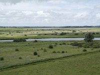 NL, Friesland, Noardeast-Fryslan, Lauwersmeer 30, Saxifraga-Willem van Kruijsbergen