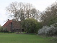 NL, Gelderland, Brummen, Cortenoever 104, Saxifraga-Hans Boll