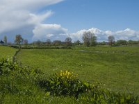 NL, Gelderland, Maasdriel, Buitenpolder Heerewaarden 5, Saxifraga-Jan van der Straaten