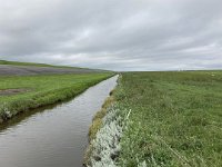 NL, Groningen, Het Hogeland, Pieterburen 4, Saxifraga-Willem van Kruijsbergen