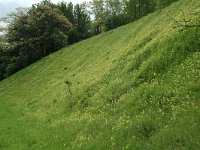 NL, Limburg, Voerendaal, Kunderberg-Breedeweg 1, Saxifraga-Willem van Kruijsbergen