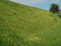 NL, Limburg, Voerendaal, Kunderberg-Breedeweg 2, Saxifraga-Willem van Kruijsbergen