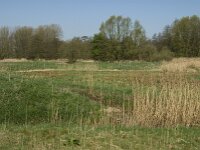 NL, Noord-Brabant, Baarle-Nassau, Baarlebrug 26, Saxifraga-Willem van Kruijsbergen